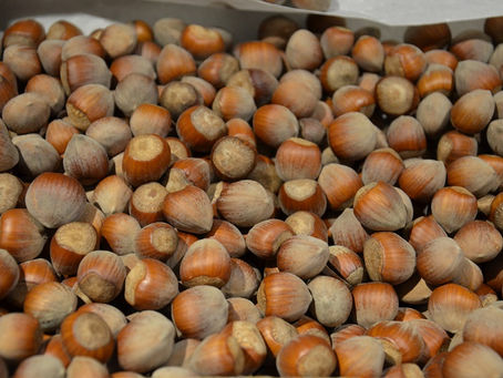 Mathematik-Rätsel "Knack die Nuss" Januar/Februar 2026