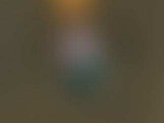 NieR Replicant: Onde encontrar sementes de flor da lua rosa e para que serve