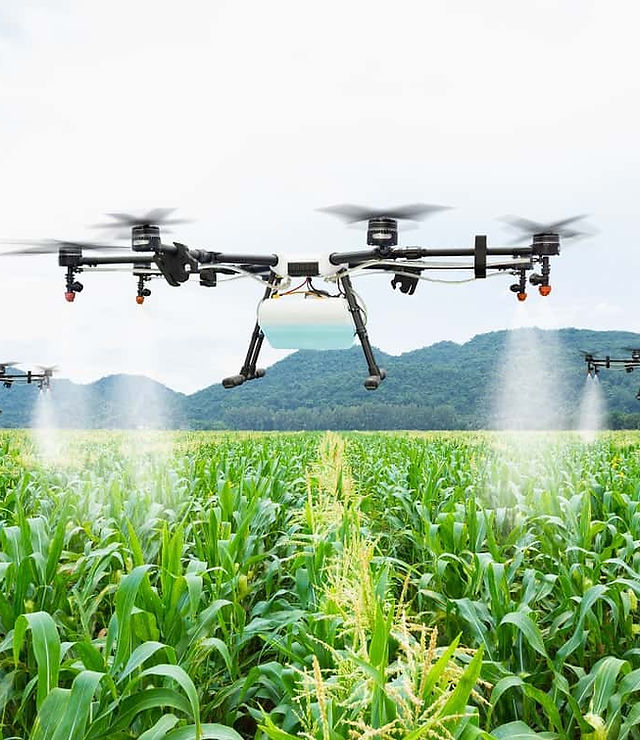 Venda de fertilizantes direto ao produtor | Codipa Fertilizantes