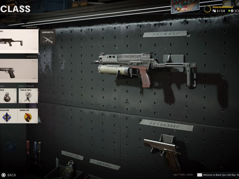 Call of Duty Black Ops Cold War: Melhor carregamento de acessórios para Bullfrog 