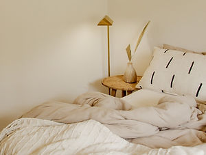 WhatsApp Image 2023-06-14 at 21.36.20 (1).jpeg