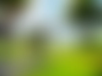 Fortnite: Friendship onde se emocionar como Groot em um monumento da amizade