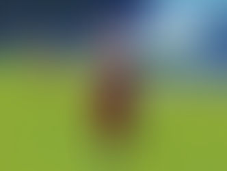 Genshin Impact: Guia de Recompensas do Reino