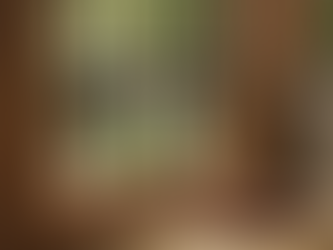 Improving Shed Security with Steel Bars