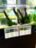 S__47431688.jpg