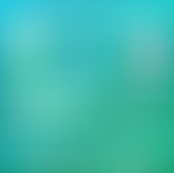 Torbay Half Marathon & 10k 2025 – Event Impact