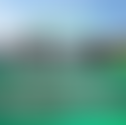 TORBAY HALF MARATHON TO FEATURE TORBAY ATHLETIC CLUB TROPHY TO RECOGNISE EVENT FOUNDERS