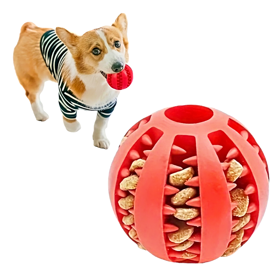Petz Treat Ball Pelota Dispensadora de Premios 5 cms Color Rojo