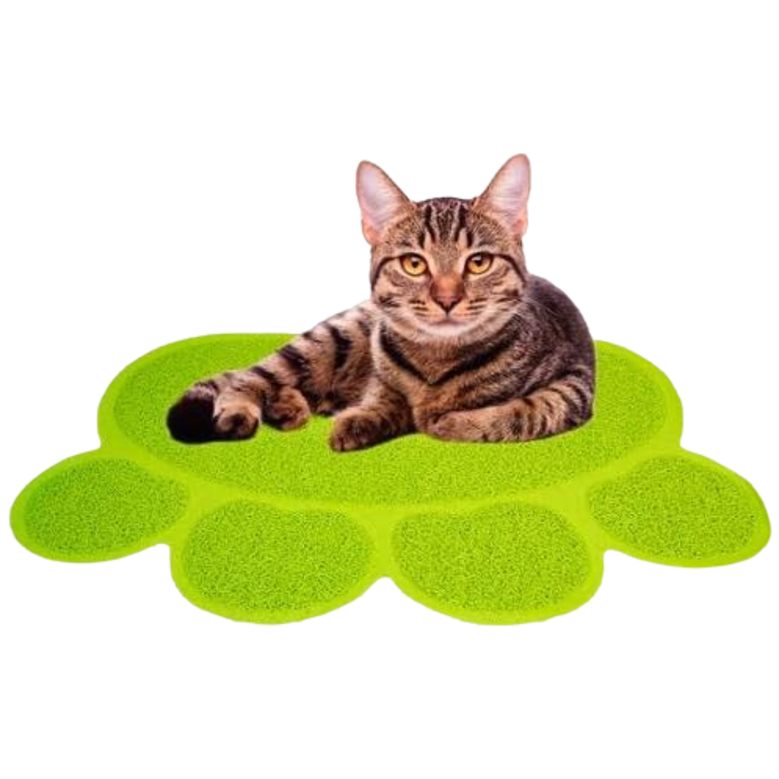 Petz Scratch Mat Tapete Rascador Texturizado para Gatos Diseño de Huella