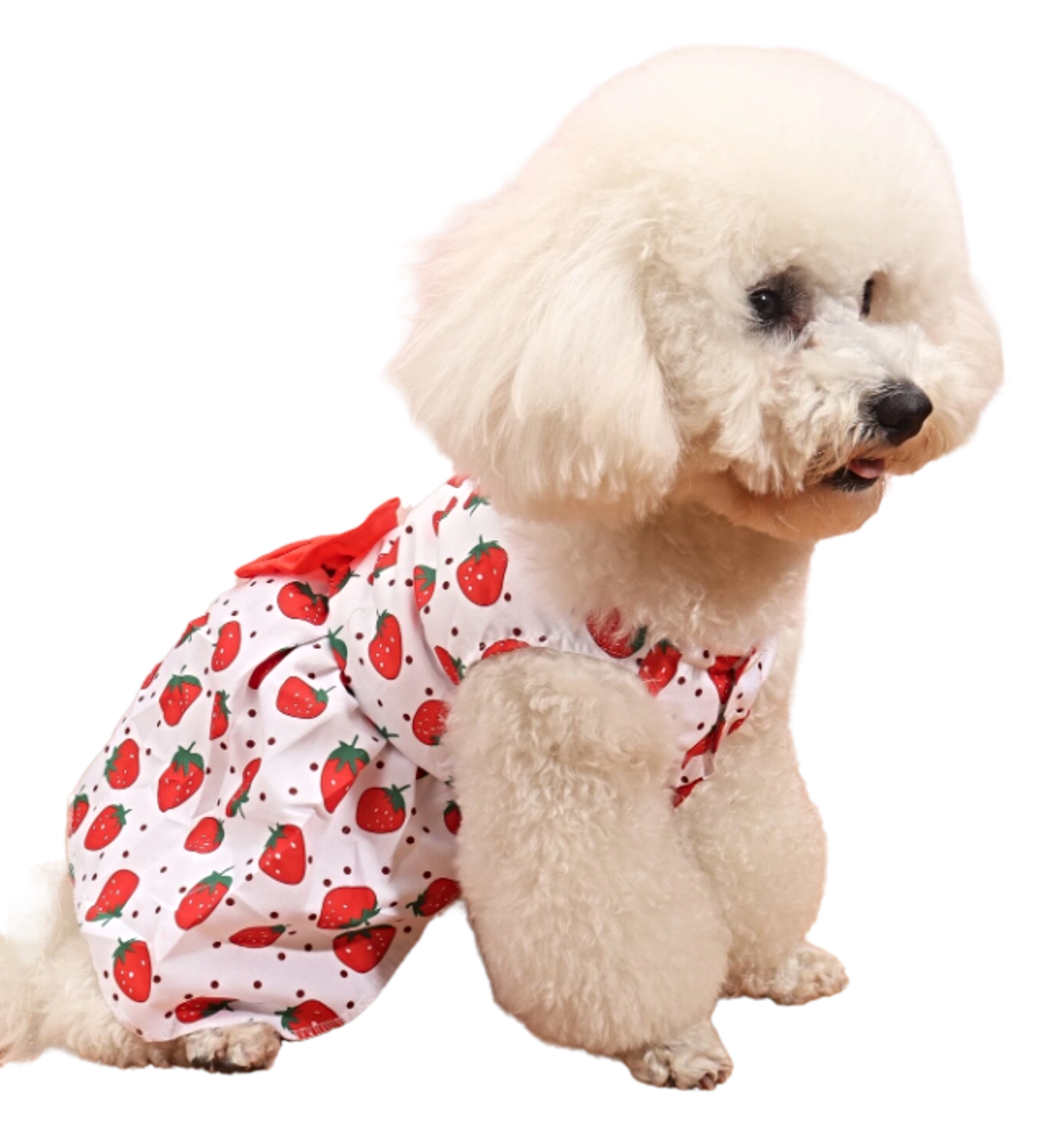 Petz Paw Couture Vestido Diseño con Moño Talla Mediana Color Blanco Rojo