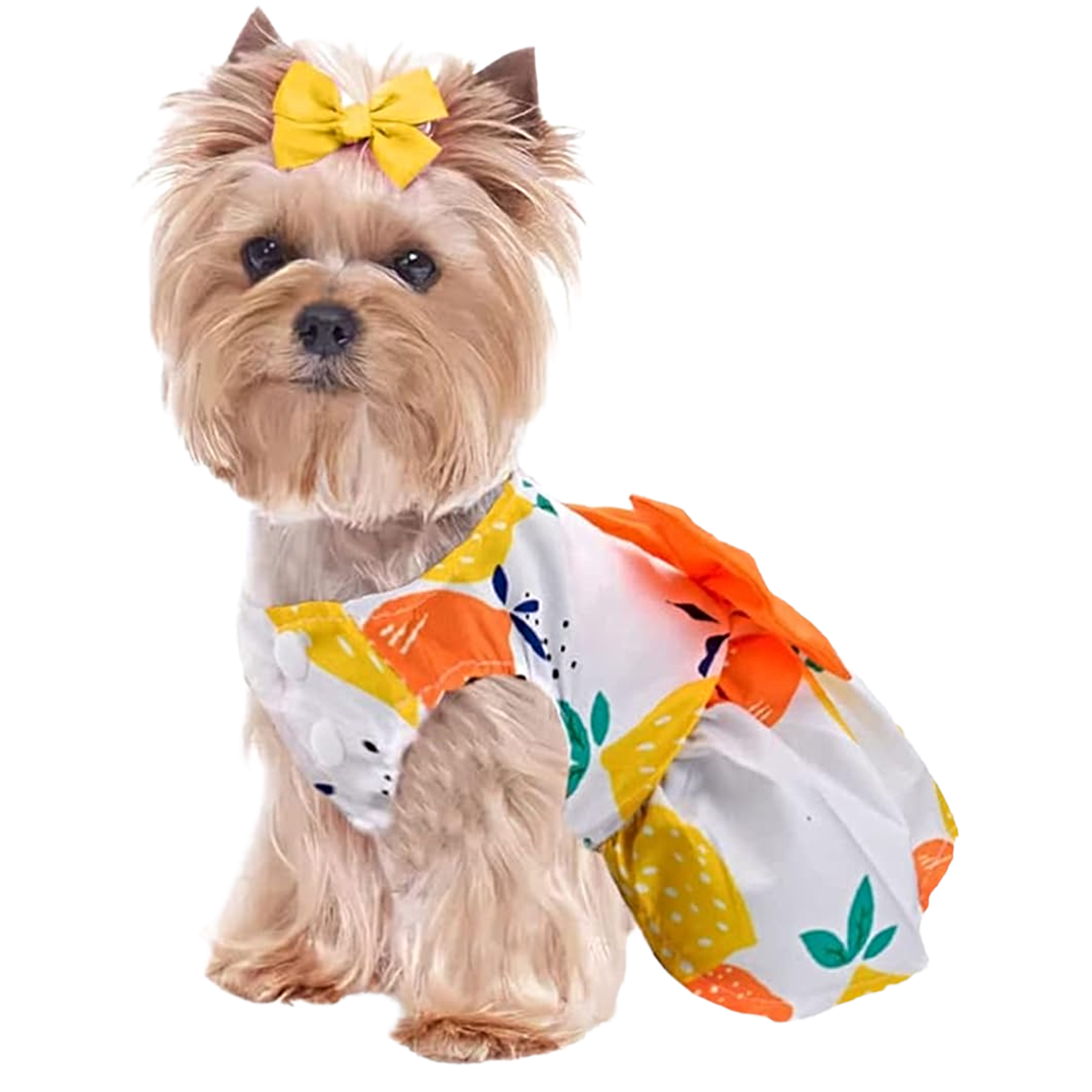 Petz Paw Couture Vestido Diseño con Moño Talla Extra Grande Color Naranja