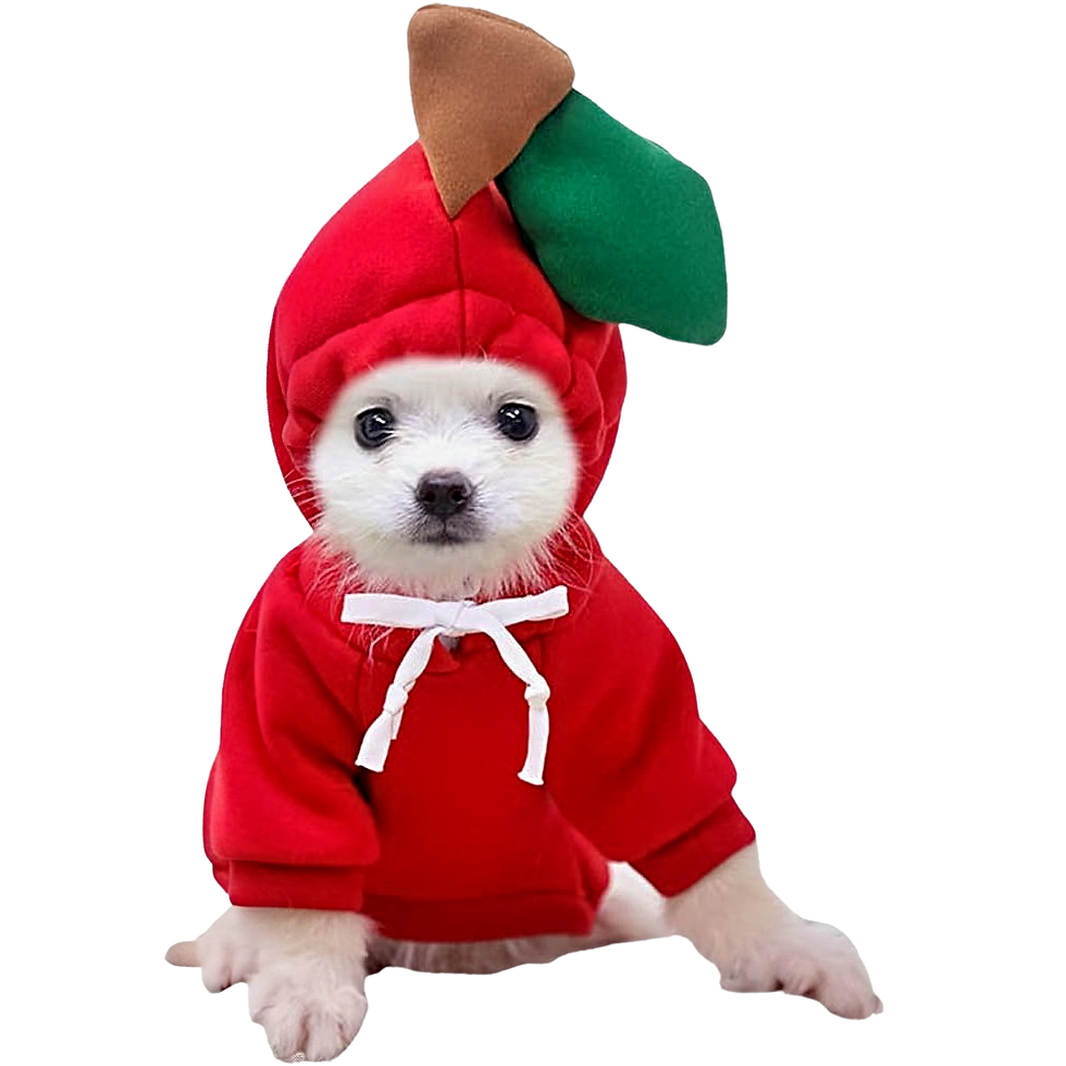 Petz Fun Apple Hoodie Sudadera Talla Extra Grande Diseño Temático de Manzana