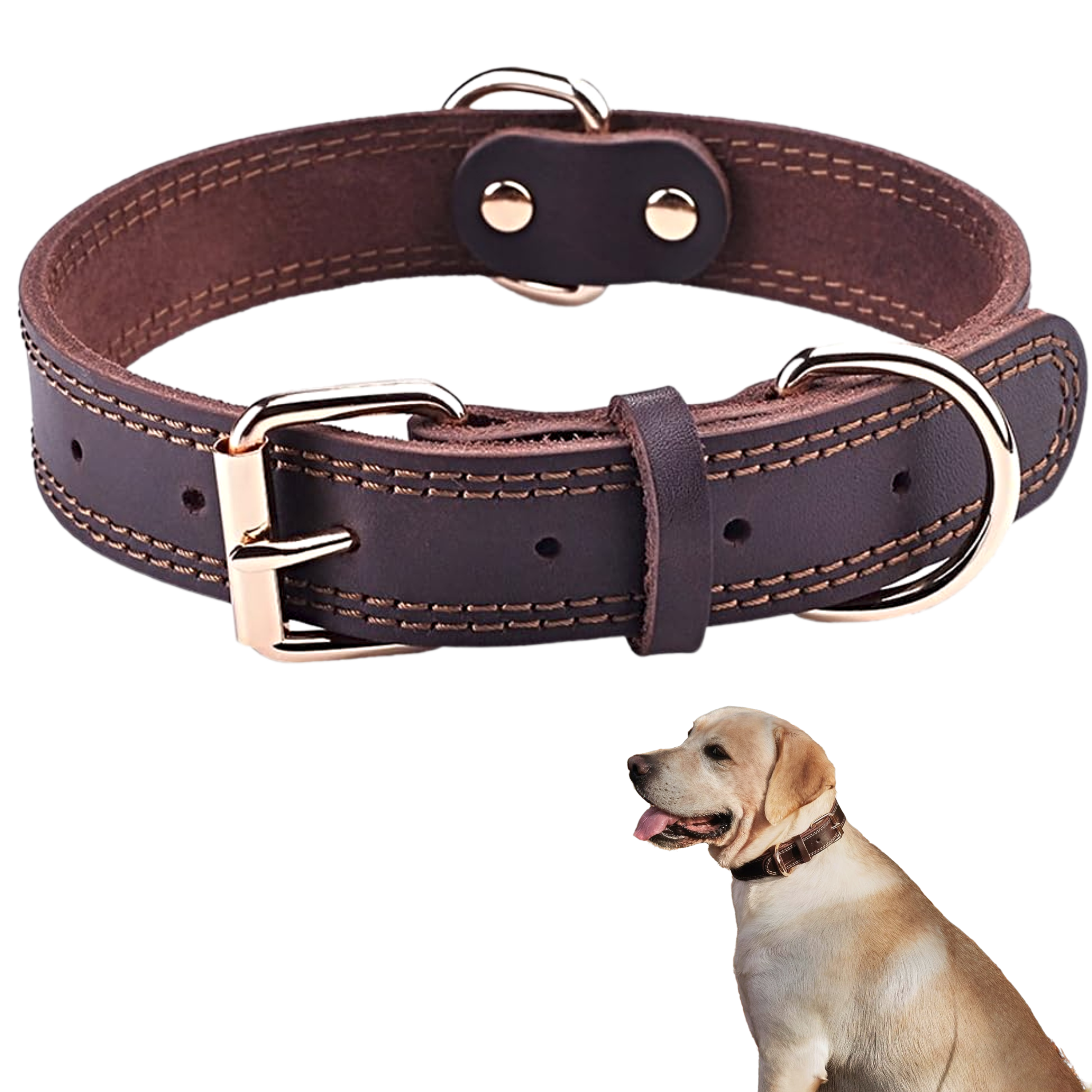 Petz Leather Glam Collar de Piel Genuina Tamaño Ajustable 53 cms