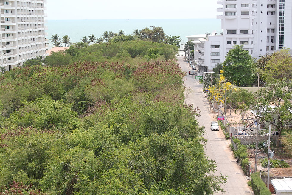 200m to beach