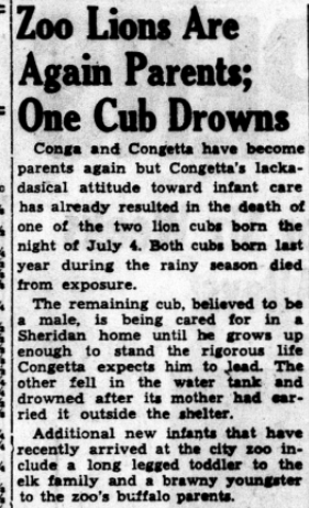 TSP - July 8, 1945