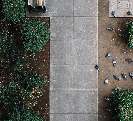 Sidewalk