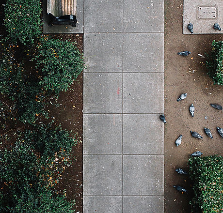 Sidewalk