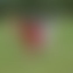 PCU's Transition to Grade-Based Teams