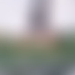 Mentor Program Opportunities for High School Players