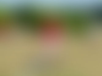 Personal & Small Group Training