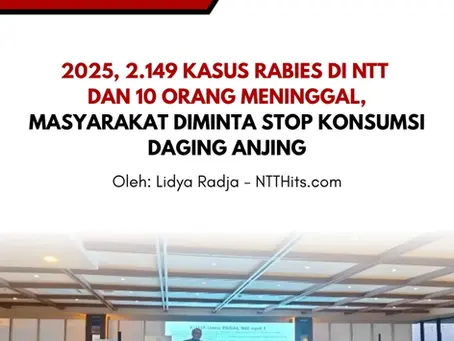 2025: 2.149KASUS RABIES DI NTT, 10 0RANG MENINGGAL