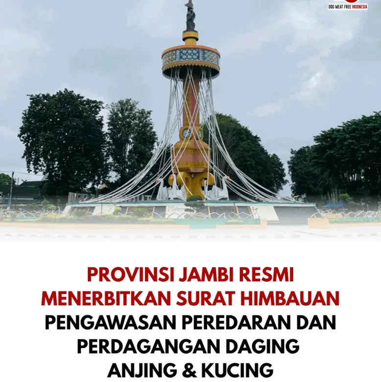 PROVINSI JAMBI RESMI MENERBITKAN SURAT HIMBAUAN PELARANGAN PERDAGANGAN DAGING ANJING & KUCING