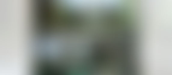 Kilas balik Rapat Koordinasi Nasional Kesejahteraan Hewan (RAKORNAS KESRAWAN)