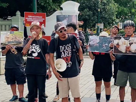 PANGGILAN untuk komunitas dan organisasi yang punya nyali MENGAKHIRI PRAKTIK KEJAM PERDAGANGAN DAN KONSUMSI DAGING ANJING & KUCING!