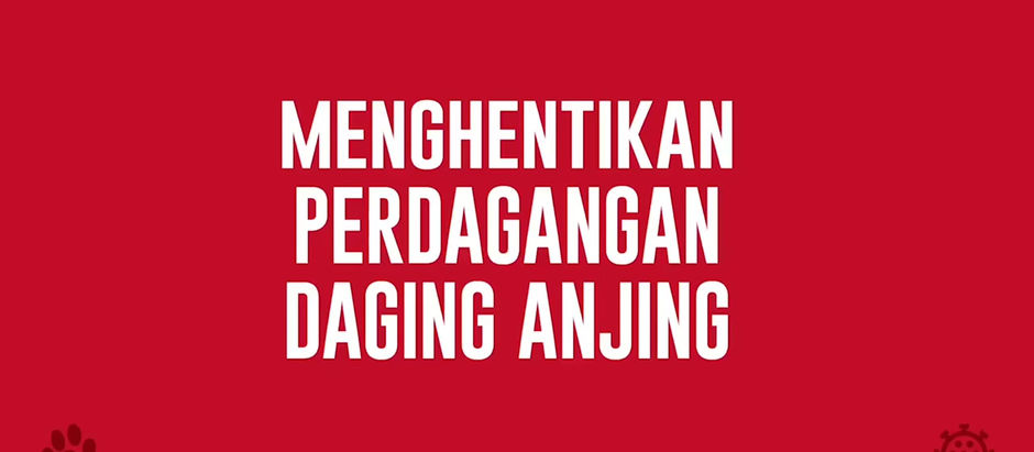 MENGHENTIKAN PERDAGANGAN DAGING ANJING