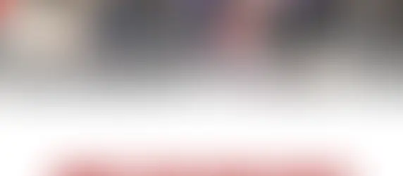 ANGGOTA DPR KOMISI IV FRAKSI PARTAI NASDEM SIAP MENDUKUNG PELARANGAN PERDAGANGAN DAGING ANJING DAN KUCING