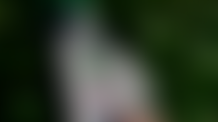 BIOESTIMULANTES: cómo utilizarlos