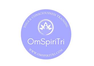 OST Logo Transparent.png