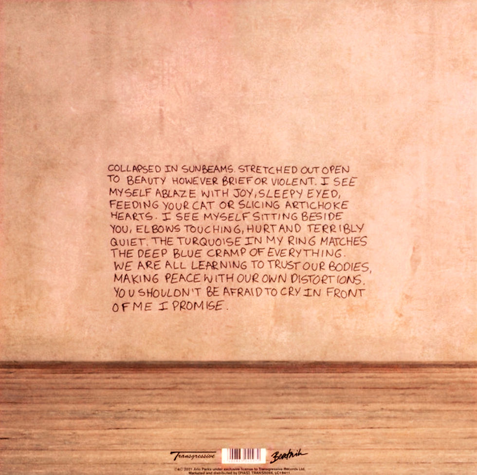 Arlo Parks – Collapsed In Sunbeams