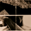 Thumbnail: Moses Sumney – Aromanticism
