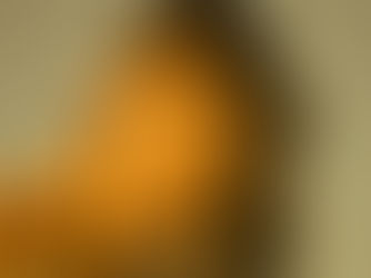 The New Gilded Age: How the Internet and Social Media Shape Our Modern Reality