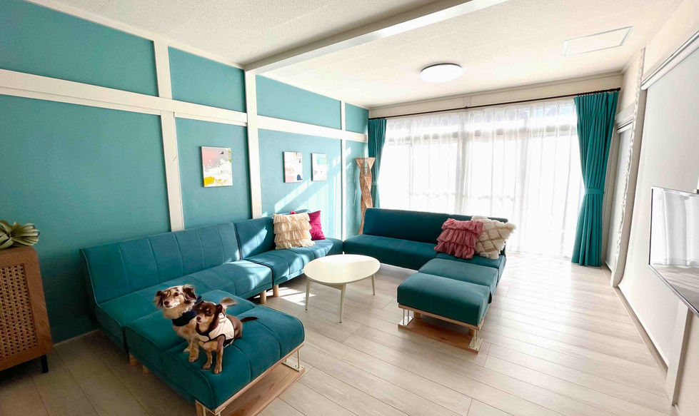 リビング全景②