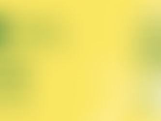 ひまわりマルシェ