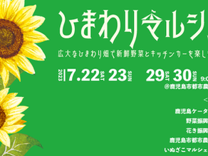 ひまわりマルシェ2023開催!広大なひまわり畑で新鮮な野菜とキッチンカーを楽しもう!