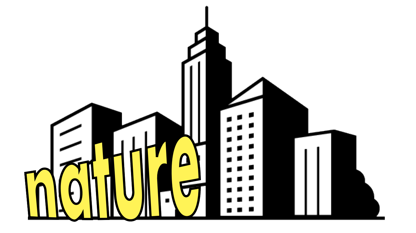 logo.png