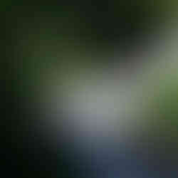 緑いっぱいの犬迫を自転車で