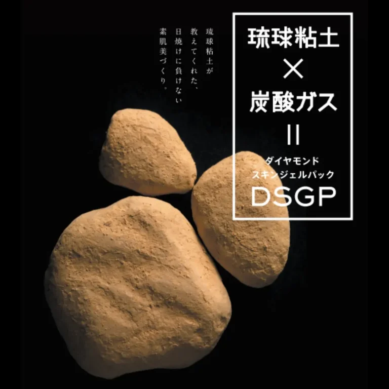 DSGPとは