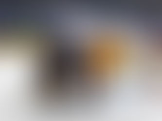 Keeper Säteri rettet Bieler Sieg