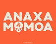 AnaxaLogo_Presentation-07.jpg