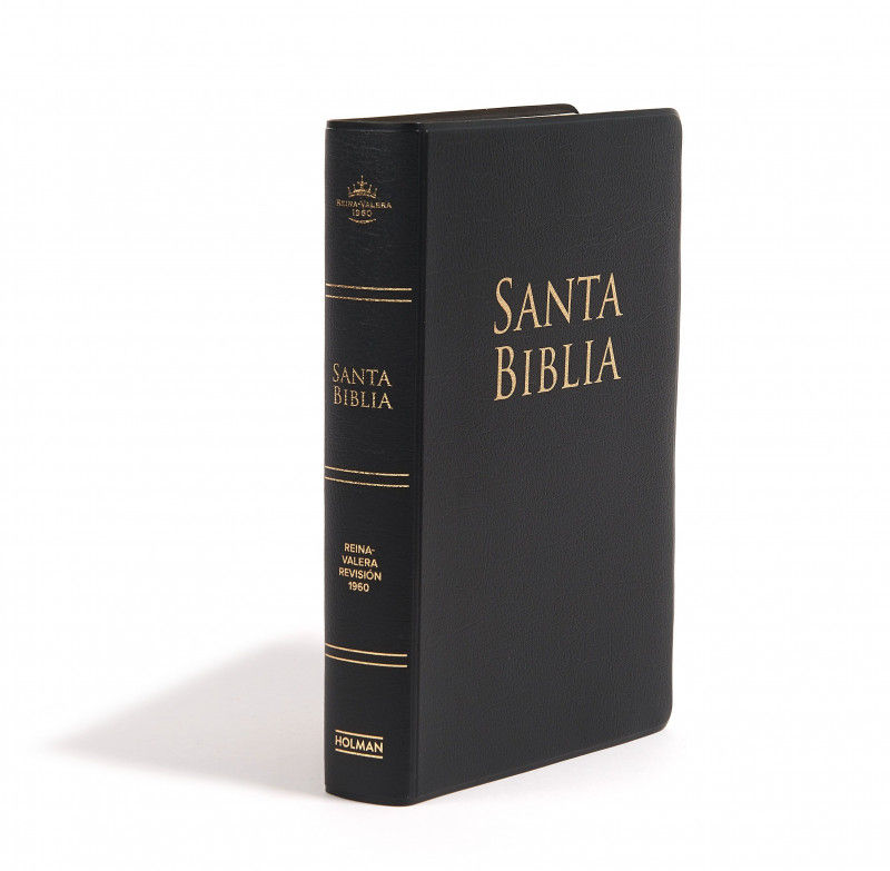 Biblia/RVR1960/Letra Grande/Manual/Vinilo/Negro