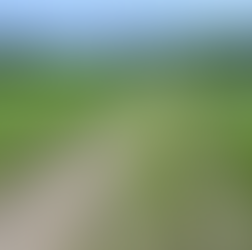 Bogworts: A New Beginning