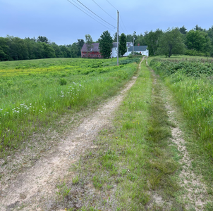 Bogworts: A New Beginning