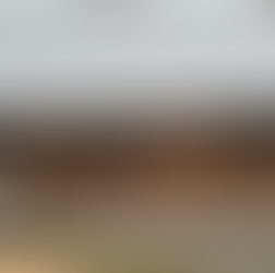 Bogworts Restoration: Mid-Winter Update