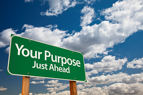 Purpose
