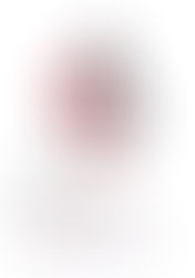 OCTOPUS MADRID 3 DE MARZO 2018