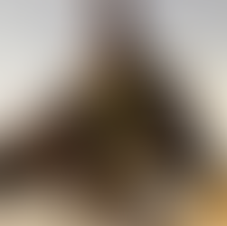 Cynthia Erivo makes Golden Globes history as first Black woman to earn two lead actress (comedy) nominations via MSN 